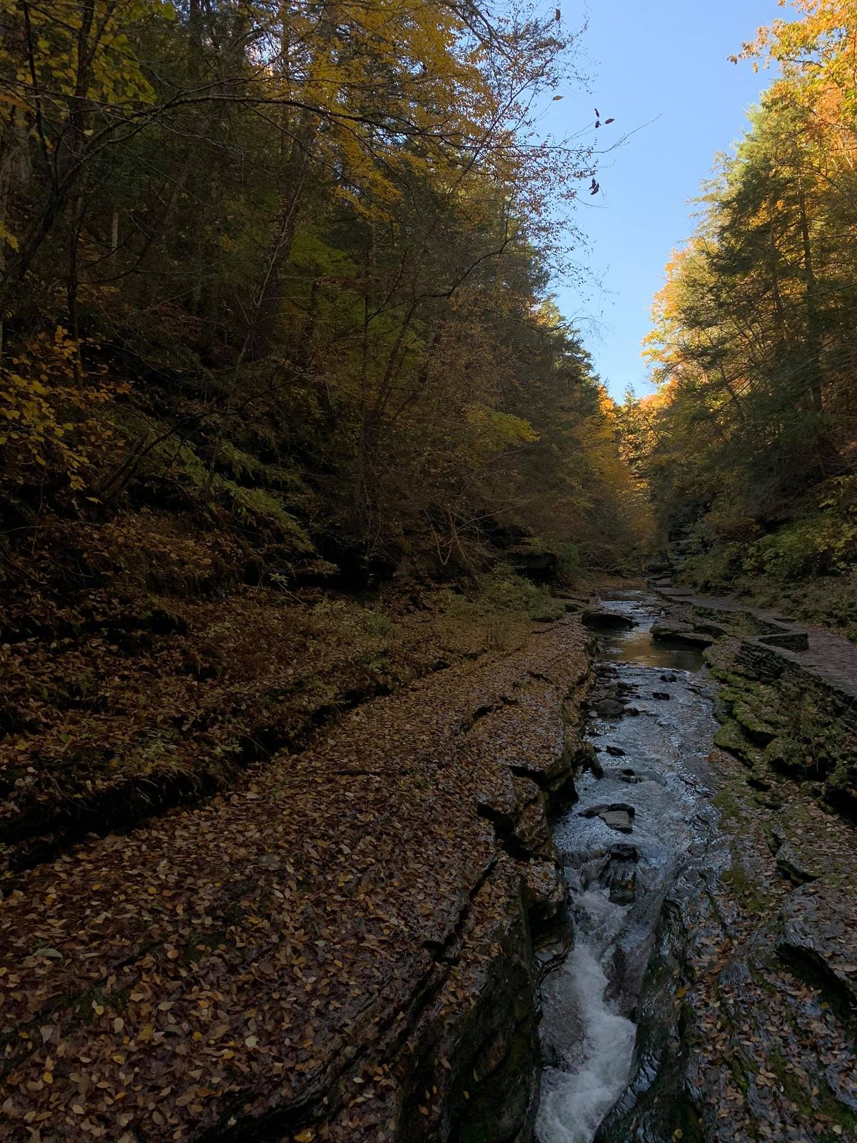 Upstate New York — family travel photo 7