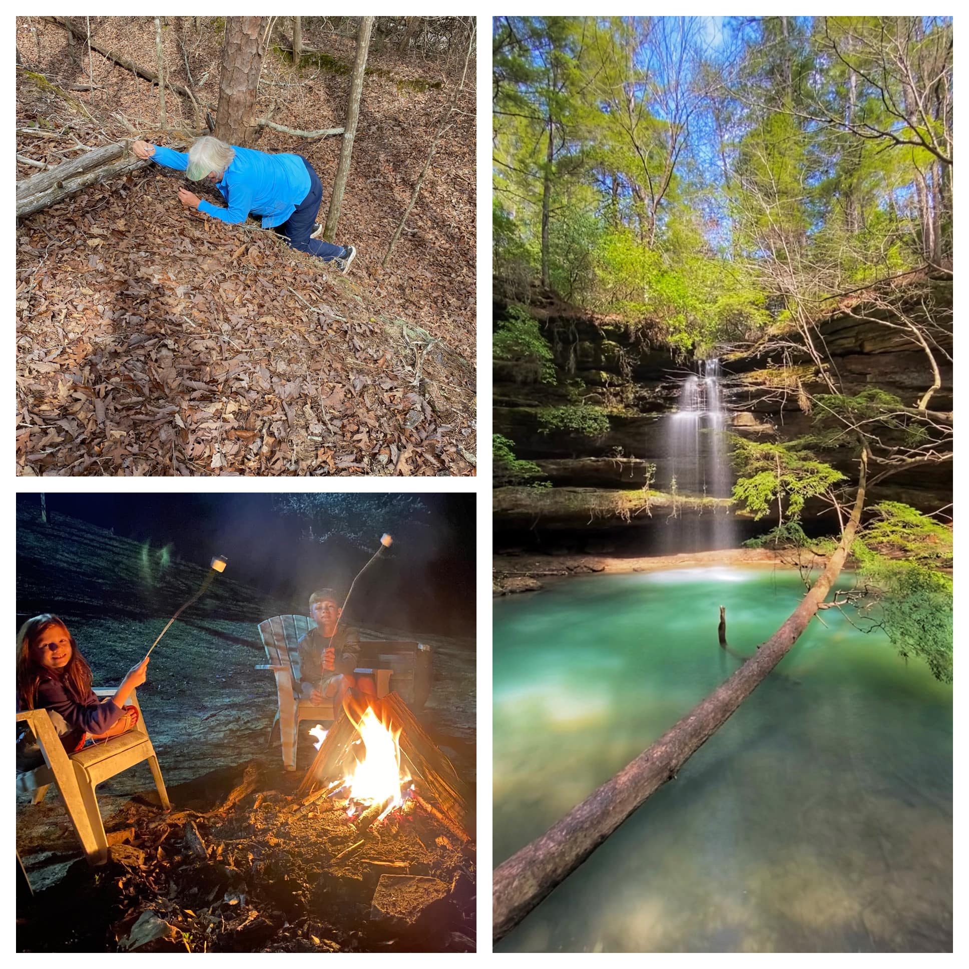 Bankhead National Forest, Alabama — family travel photo 4