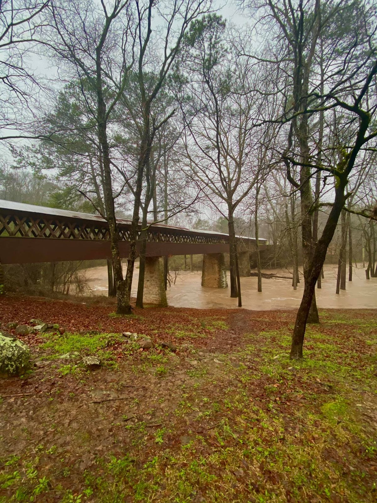 Bankhead National Forest, Alabama — family travel photo 8