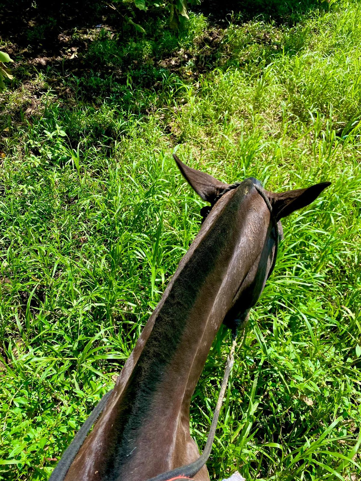 Costa Rica — Laura's Trip — family travel photo 3
