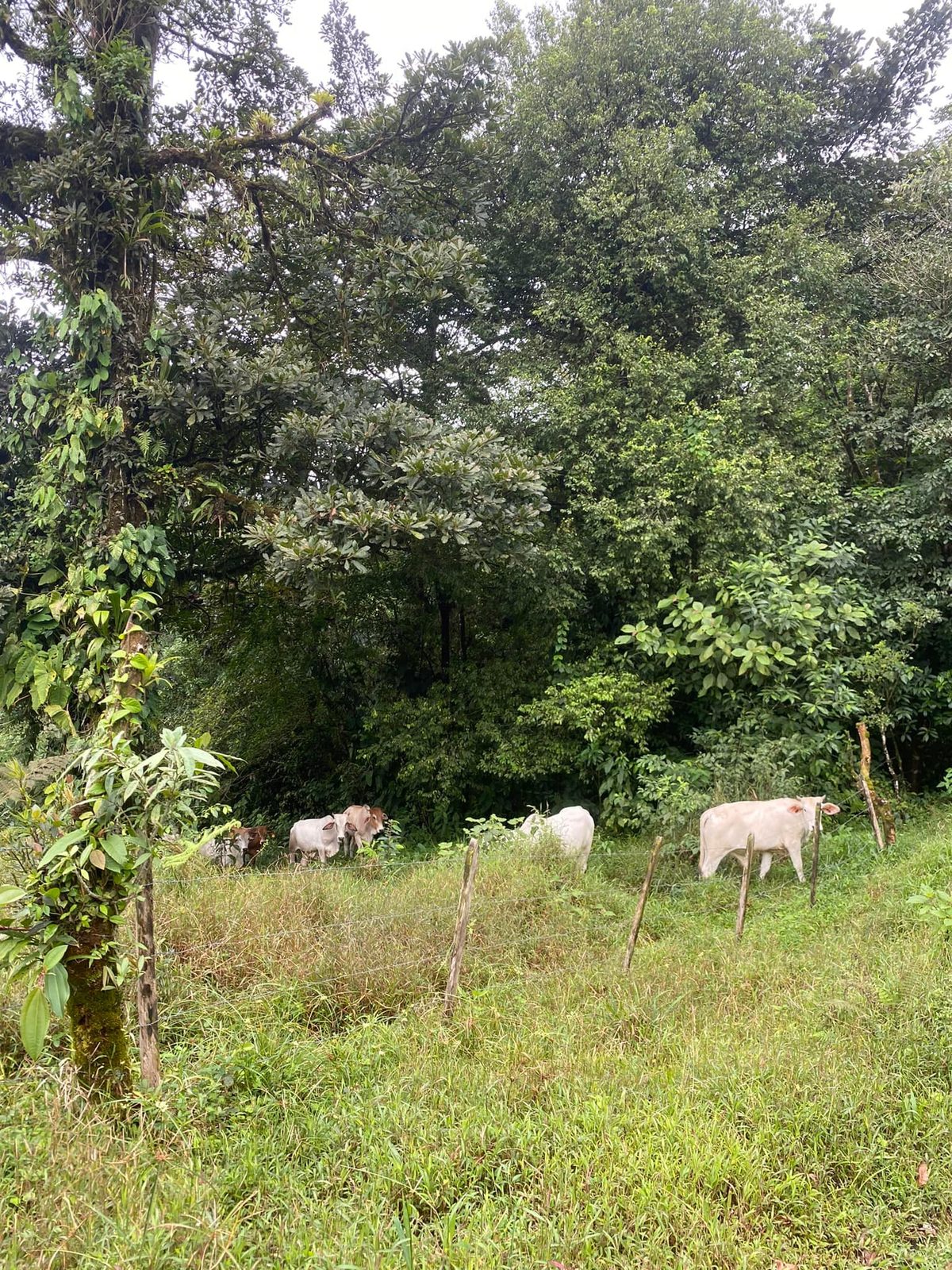 Costa Rica — Family Christmas — family travel photo 3