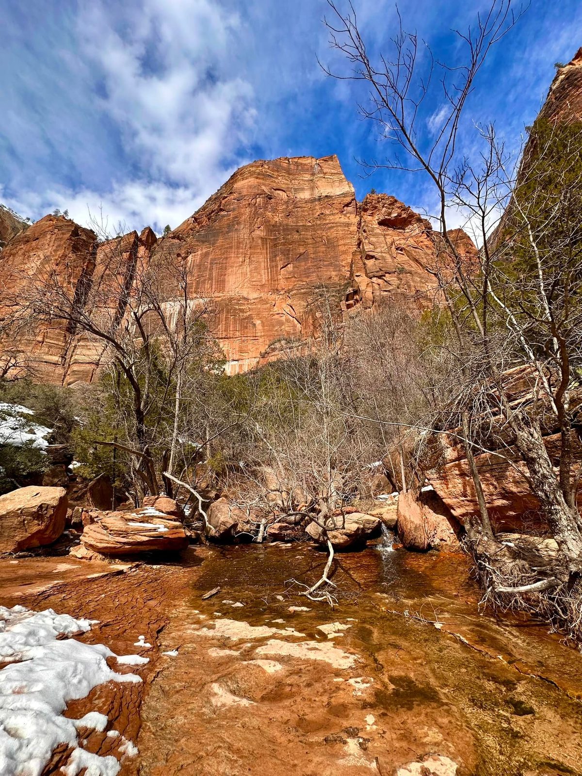 Zion National Park — family travel photo 5