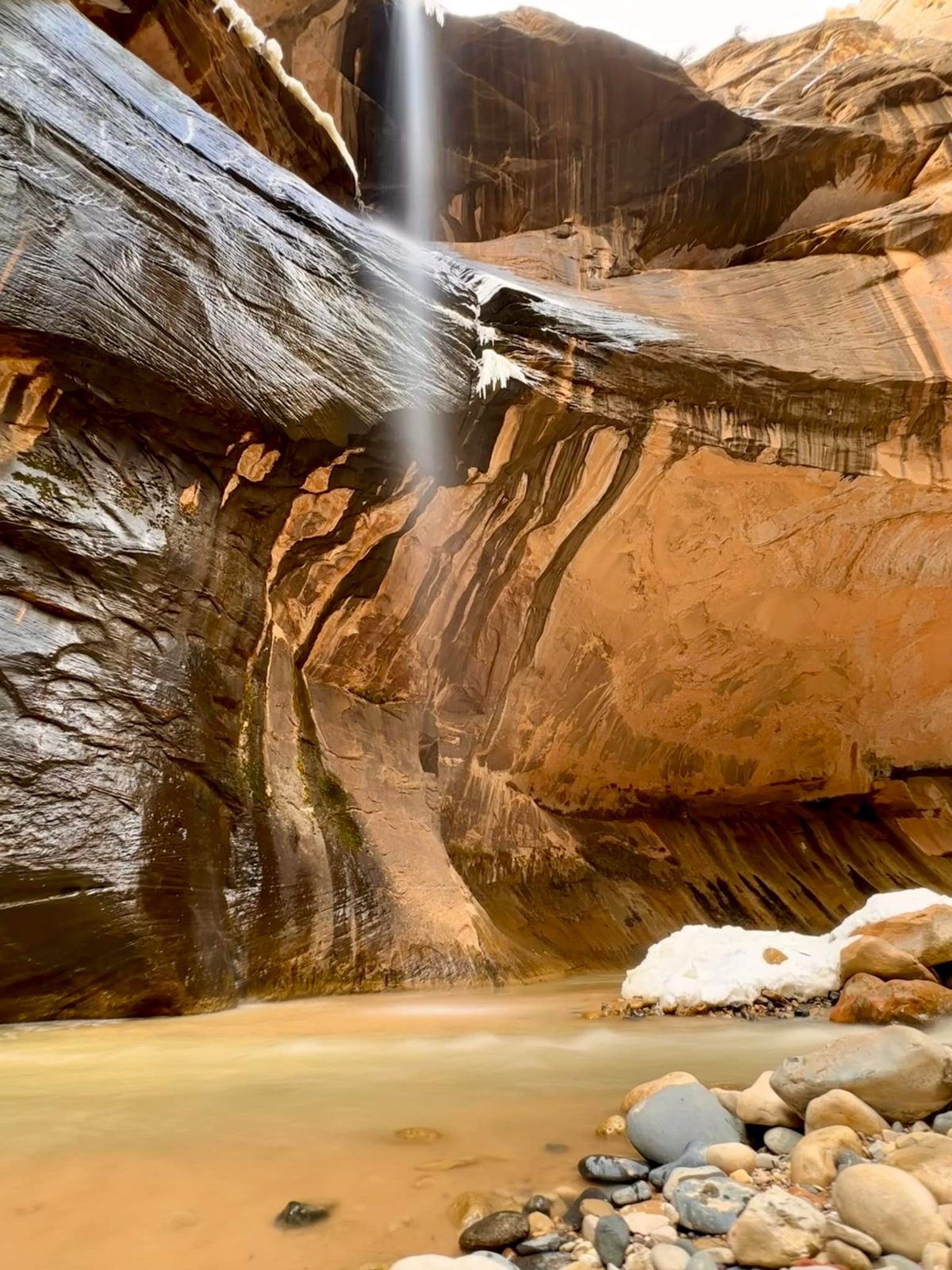 Natural Bridges National Monument — the Baughn family visit