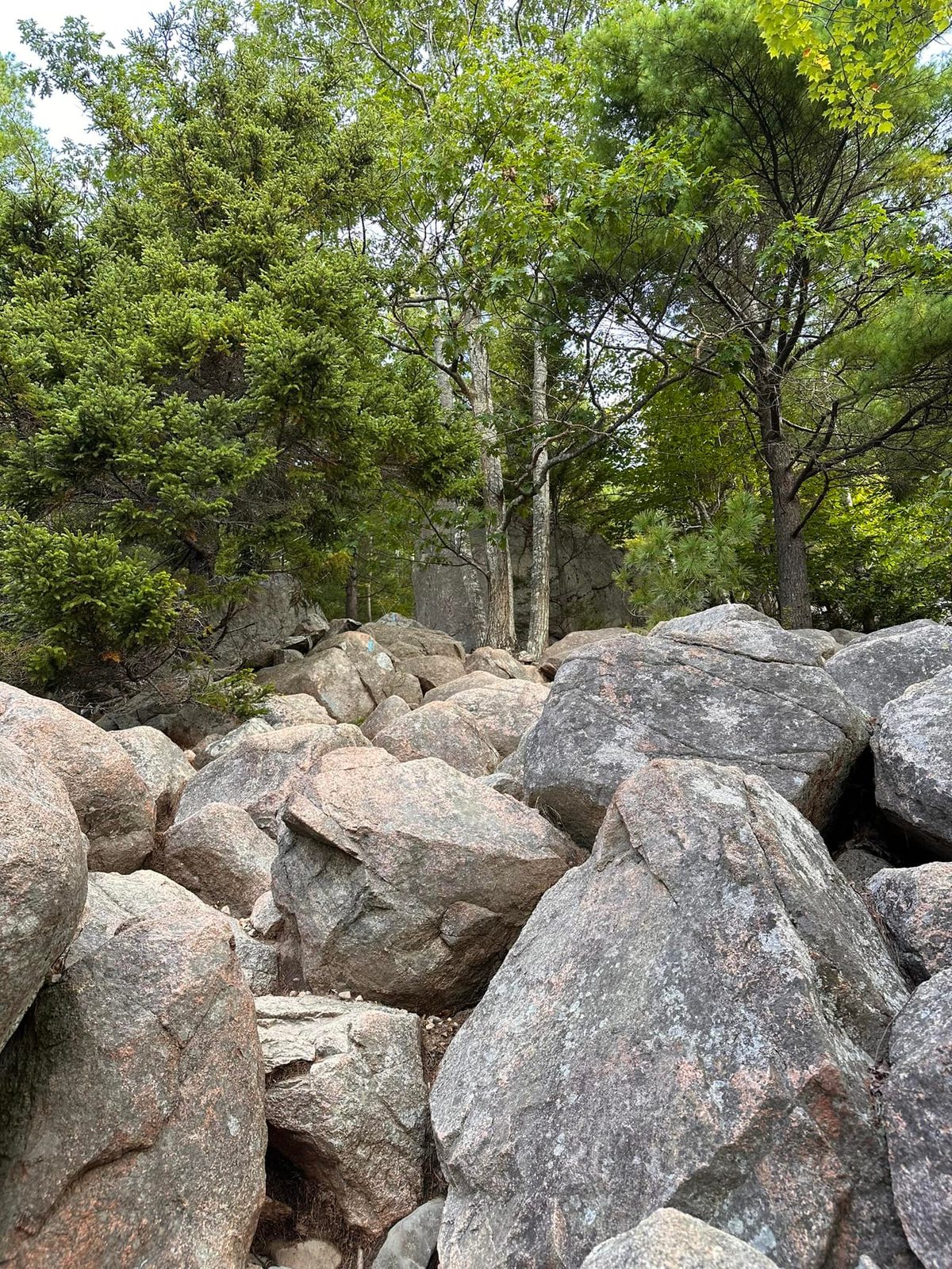 Acadia National Park — family travel photo 11