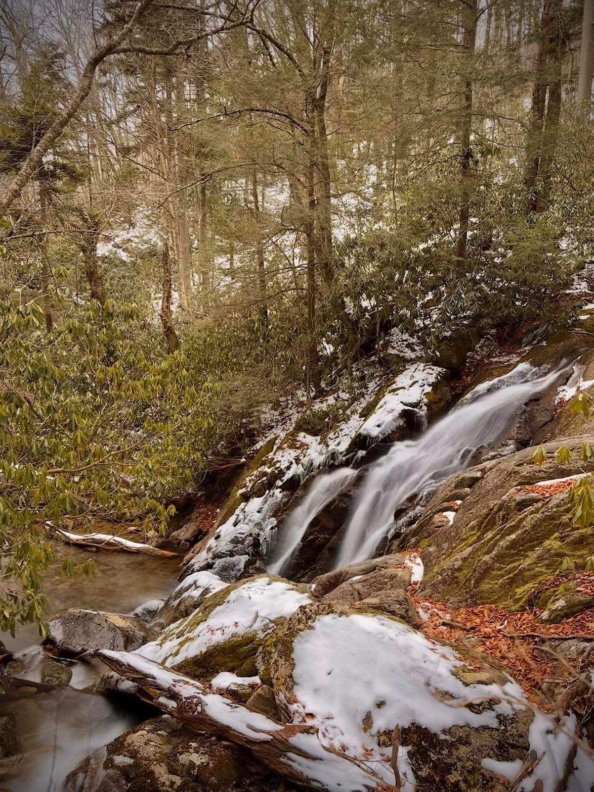 North Carolina — family travel photo 3