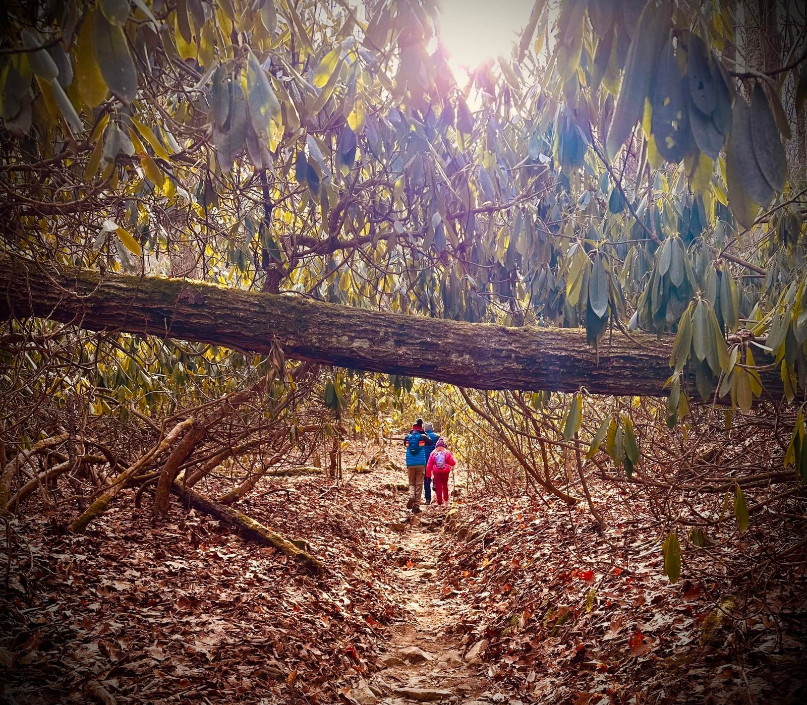 North Carolina — family travel photo 7