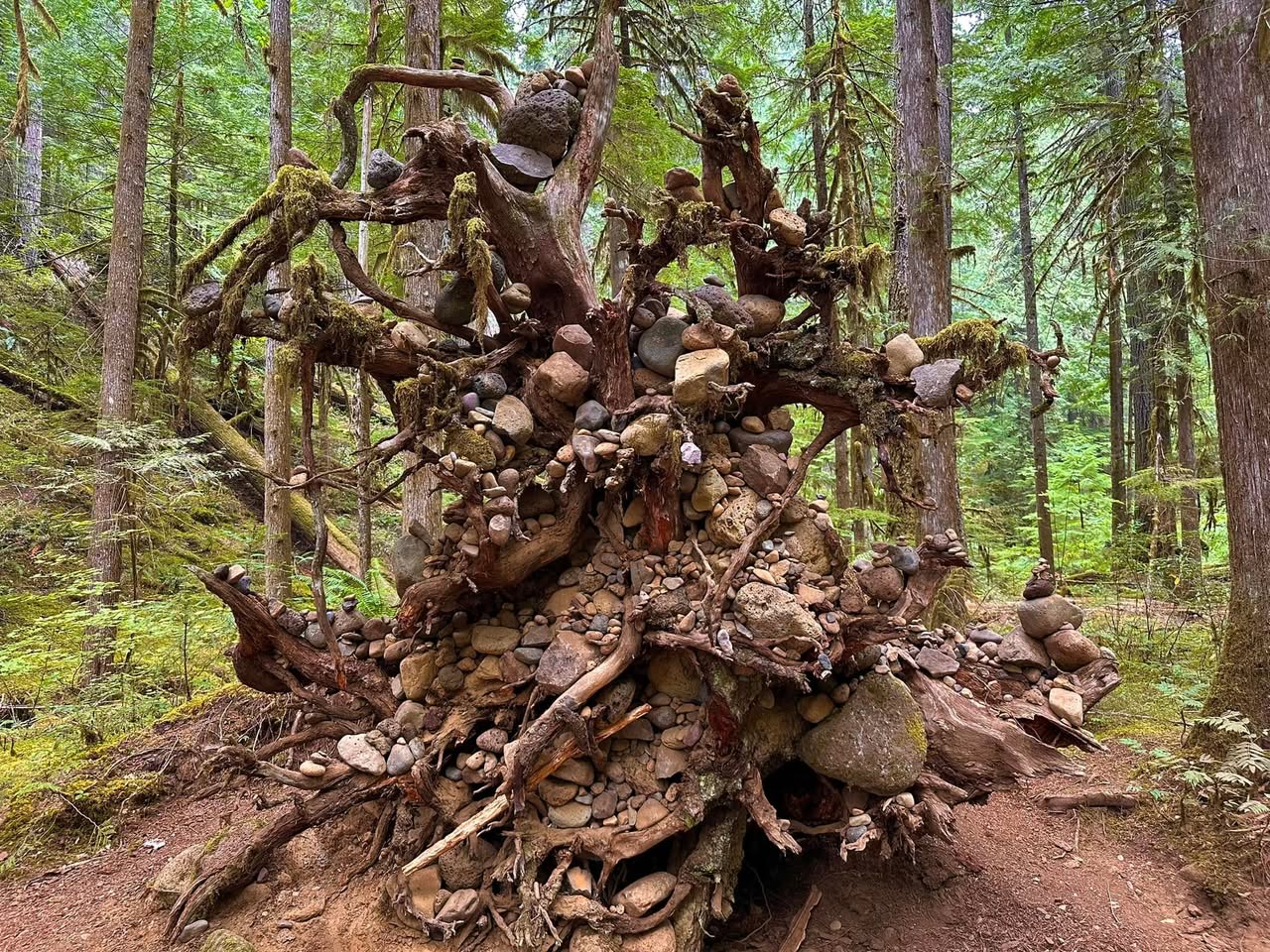 Oregon — family travel photo 10