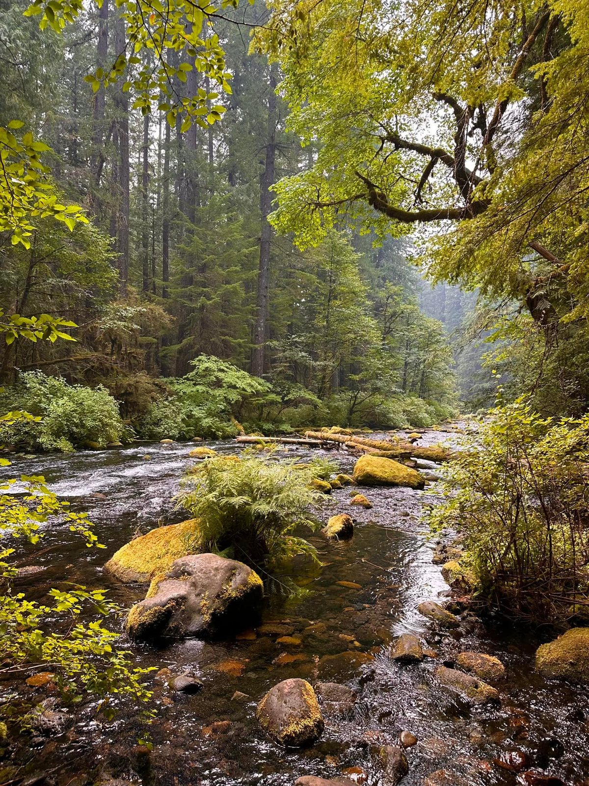 Oregon — family travel photo 11