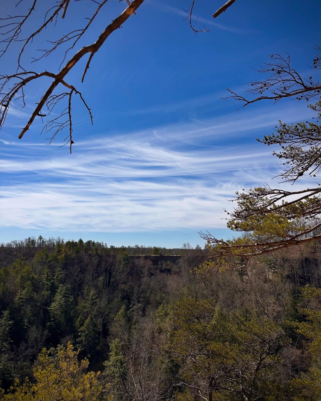 Kentucky — family travel photo 3