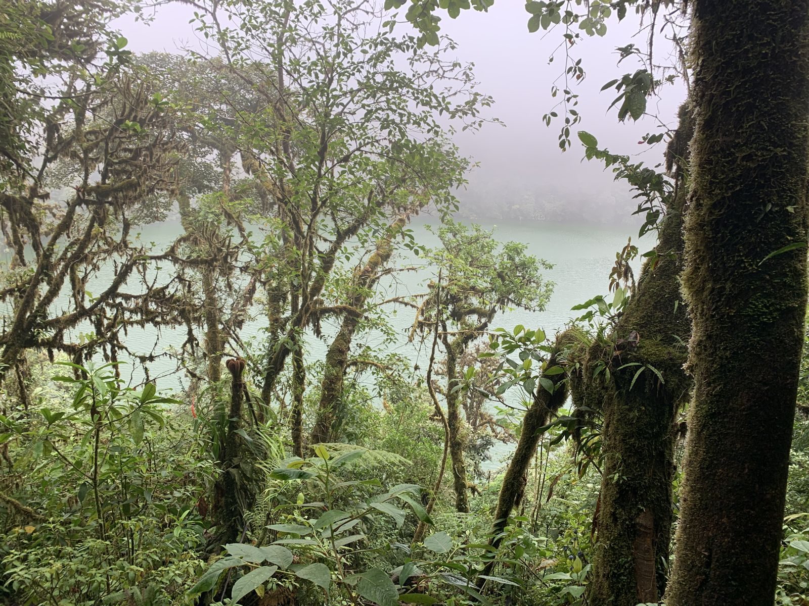 Costa Rica — Family Christmas — family travel photo 16