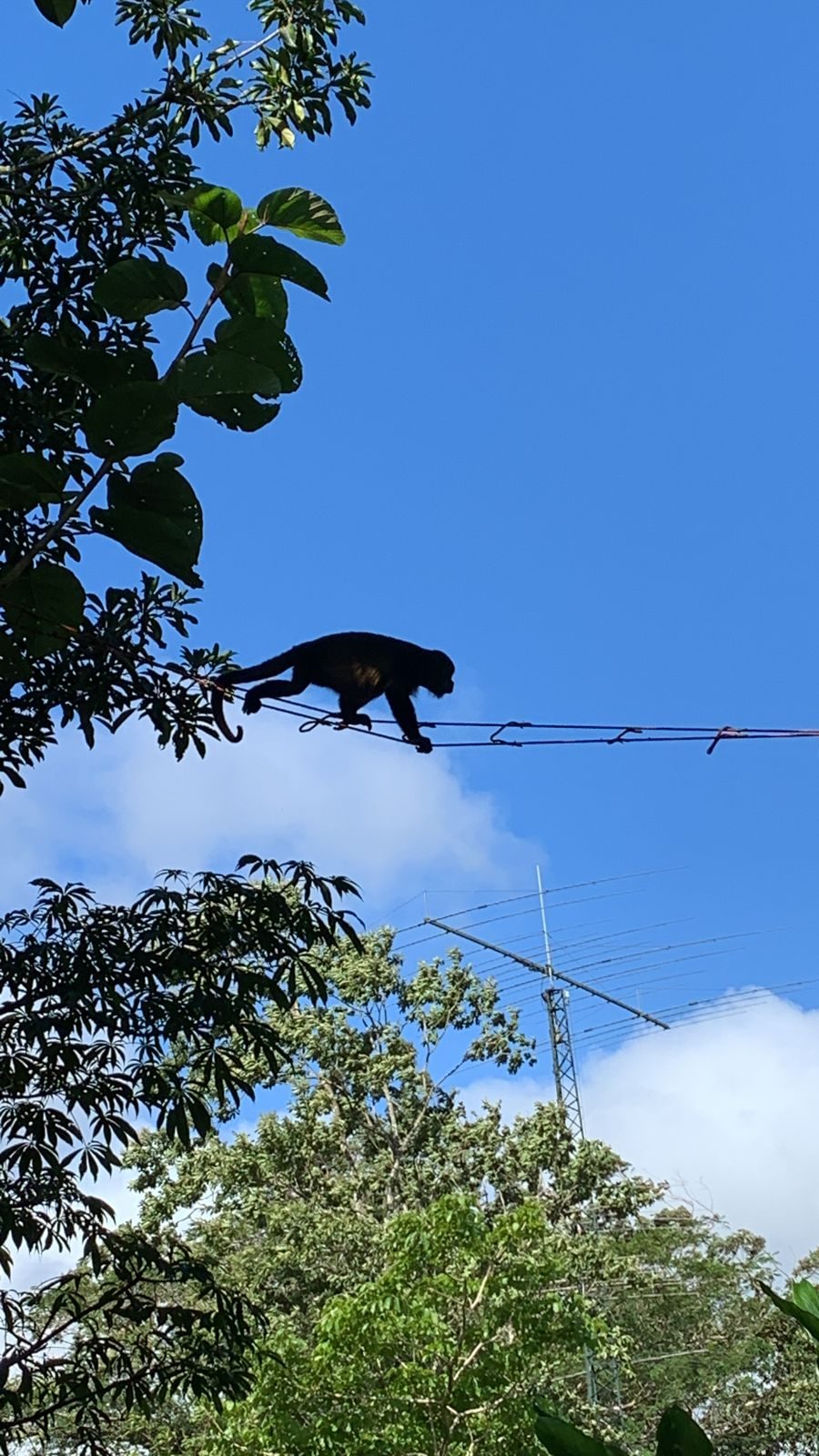 Costa Rica — Family Christmas — family travel photo 19
