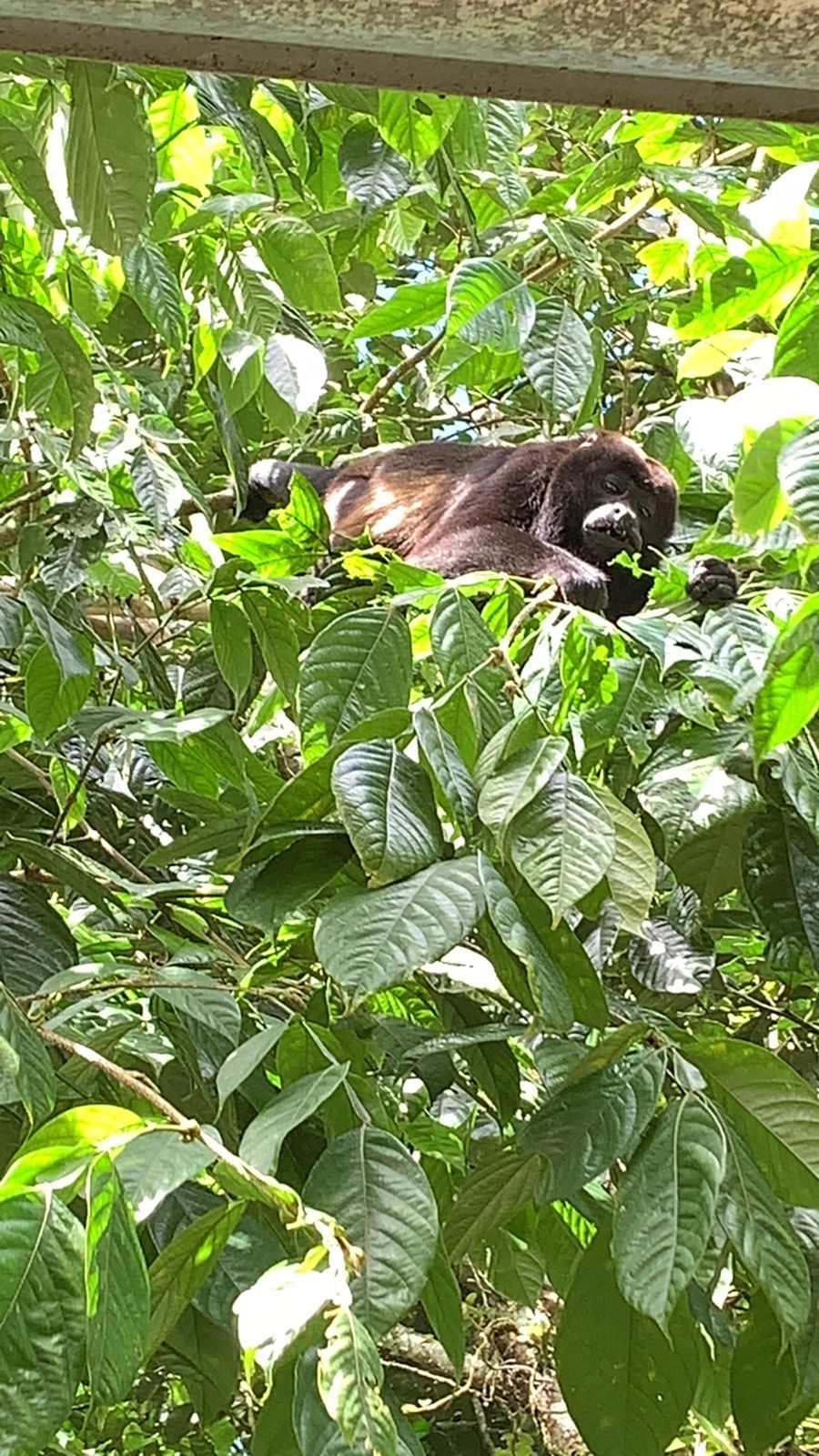 Costa Rica — Family Christmas — family travel photo 21