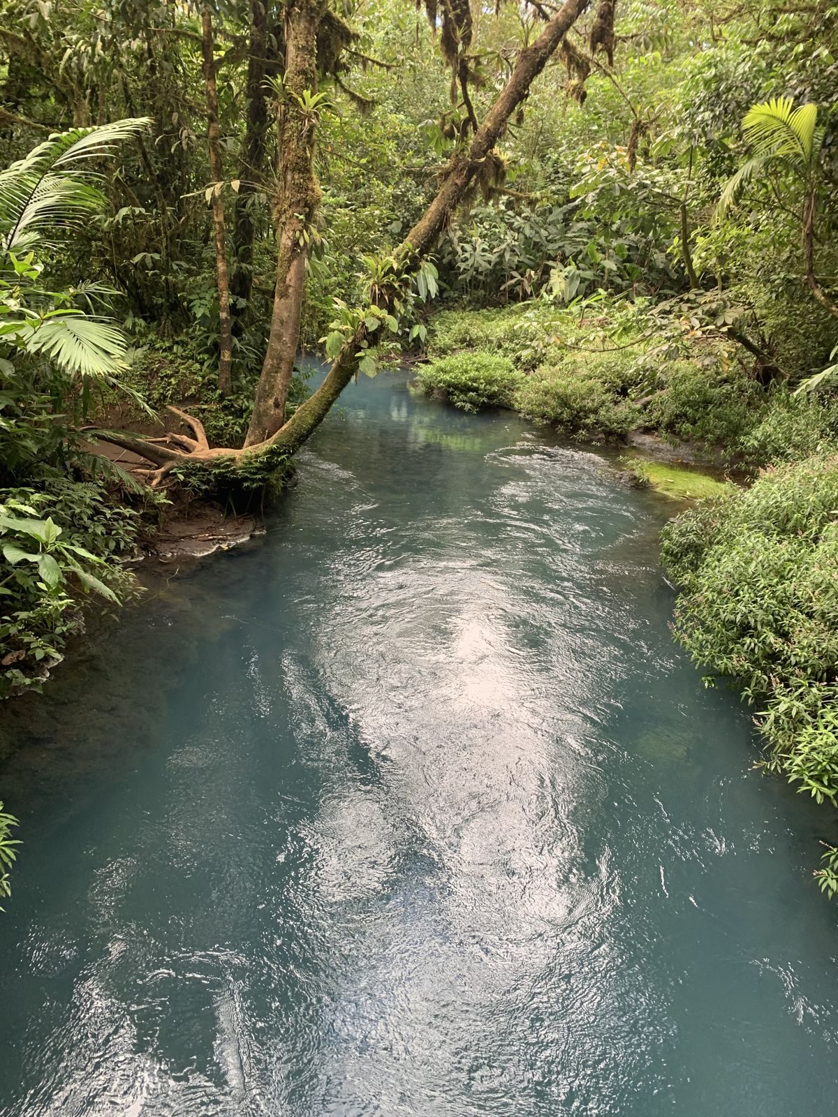 Costa Rica — Family Christmas — family travel photo 26