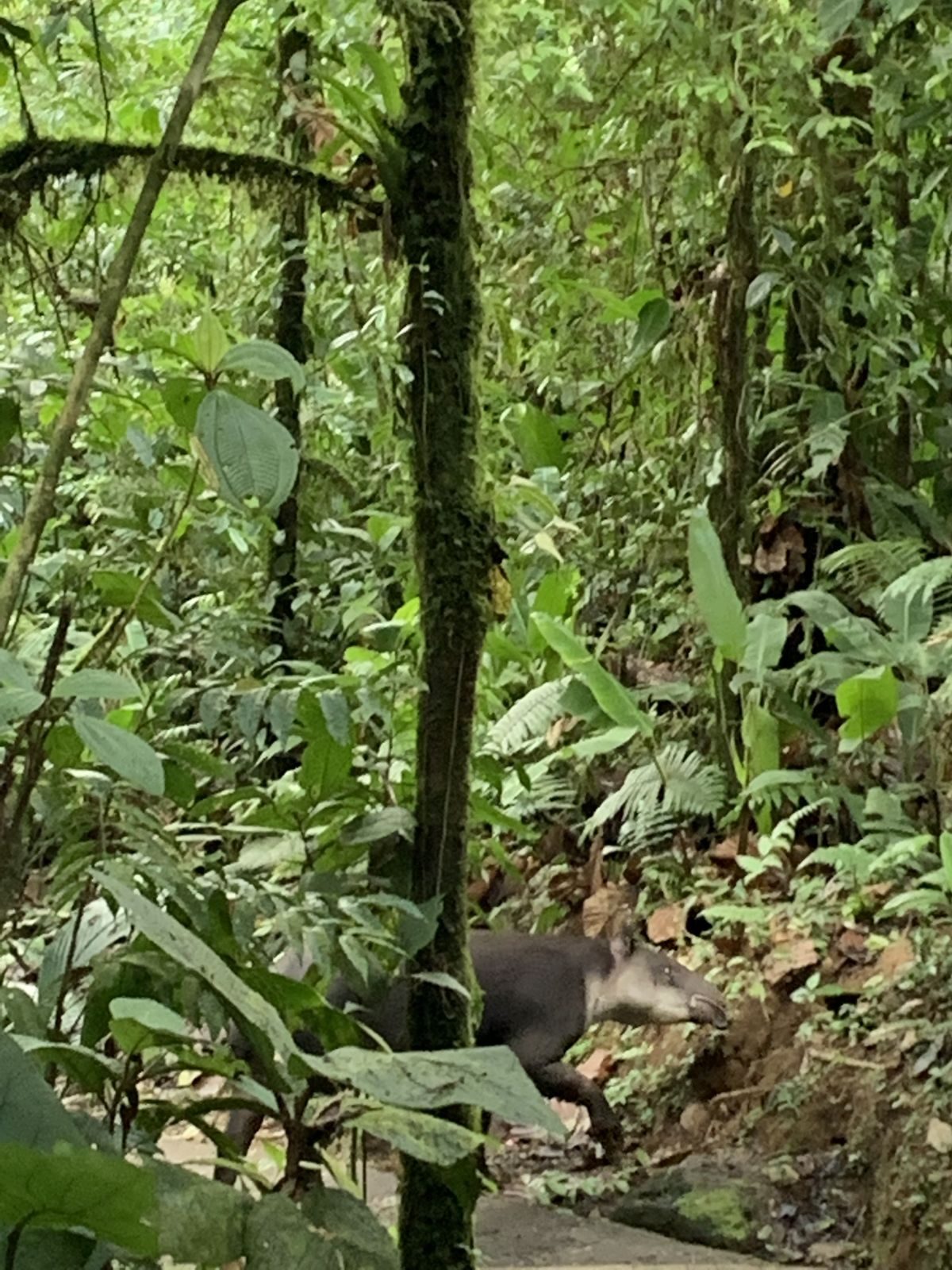 Costa Rica — Family Christmas — family travel photo 27