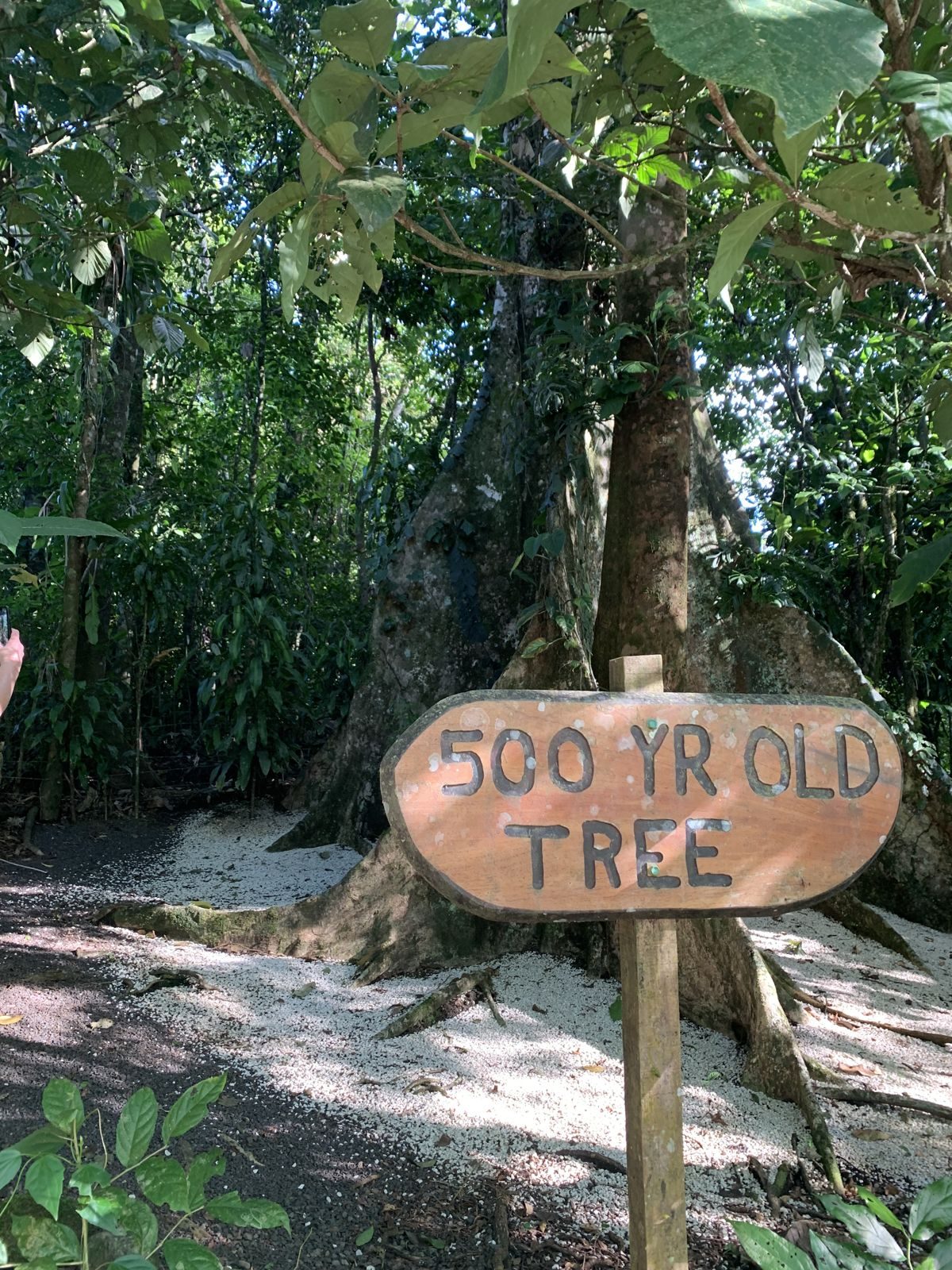 Costa Rica — Family Christmas — family travel photo 29