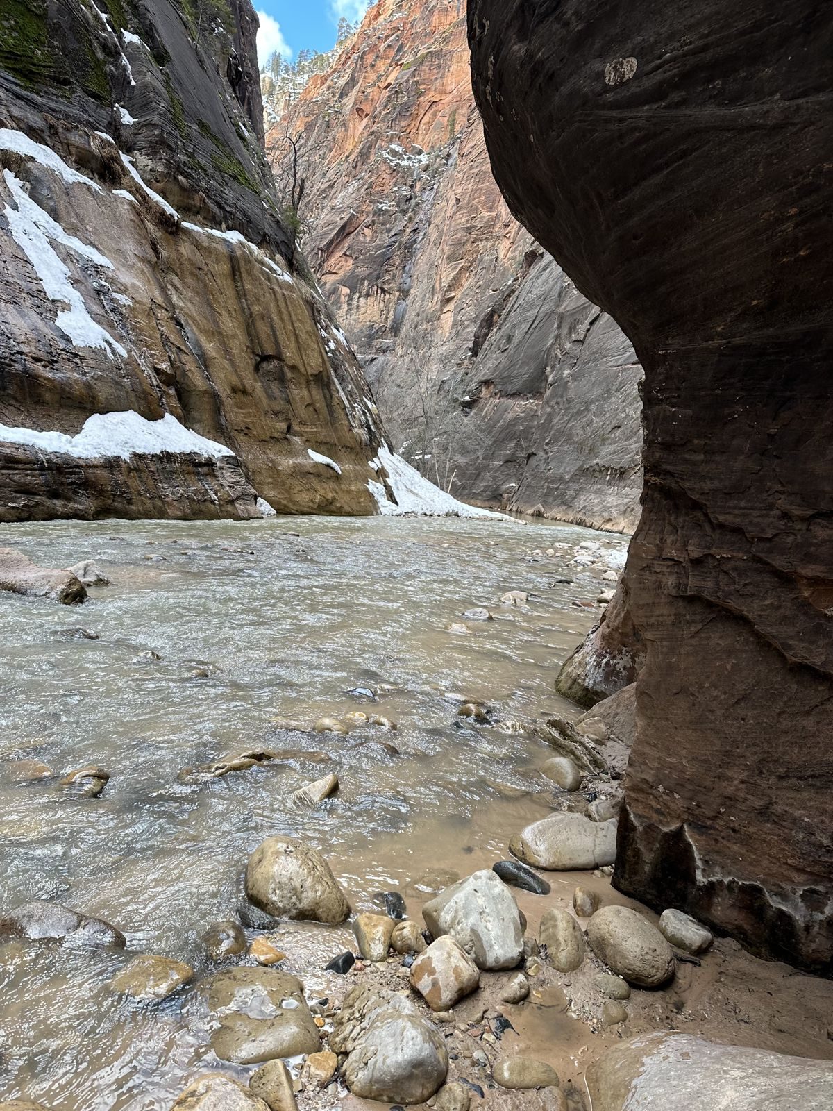 Zion National Park — family travel photo 33