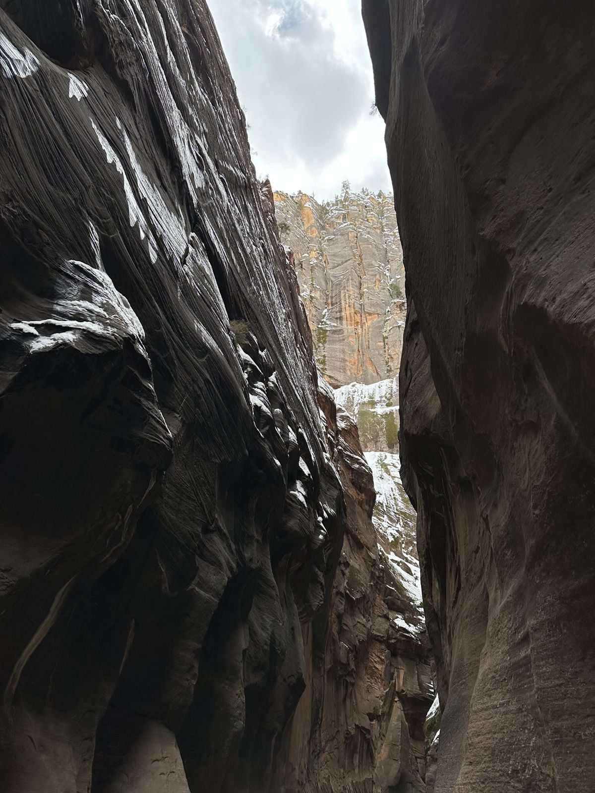 Zion National Park — family travel photo 38