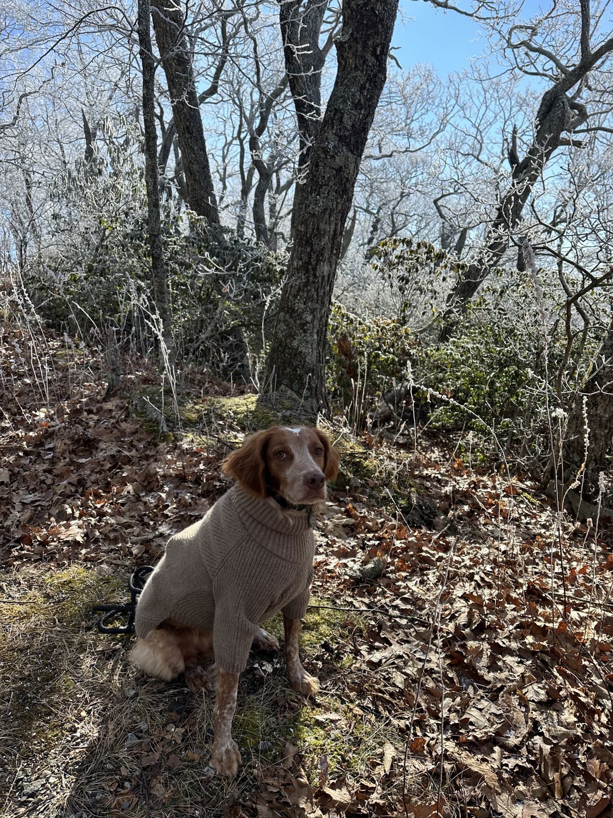 North Carolina — family travel photo 22