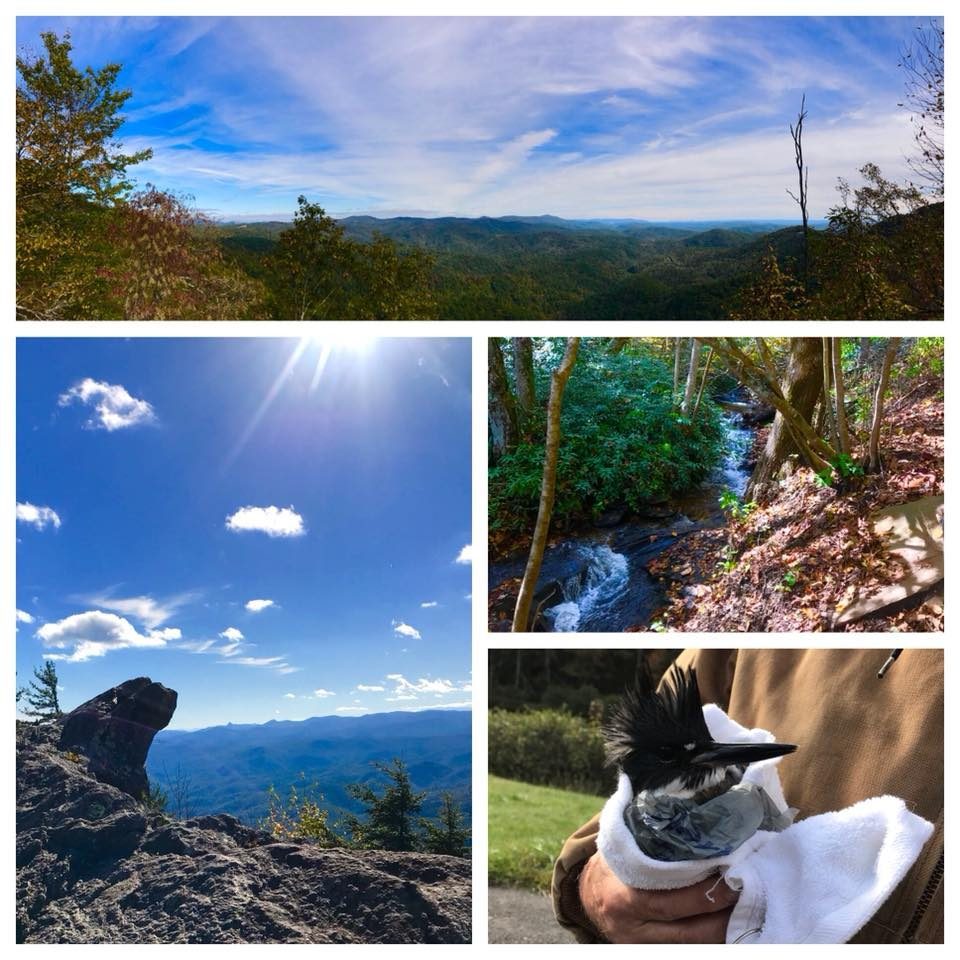 Shenandoah National Park — the Baughn family visit