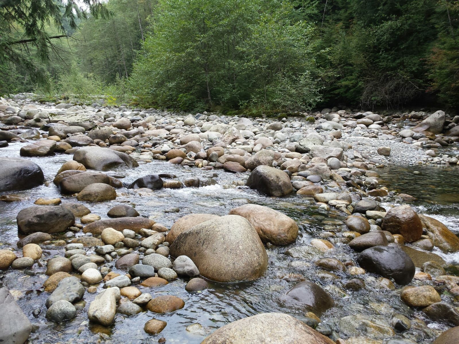 Alaska & the Canadian Rockies — Summer 2014 — family travel photo 13