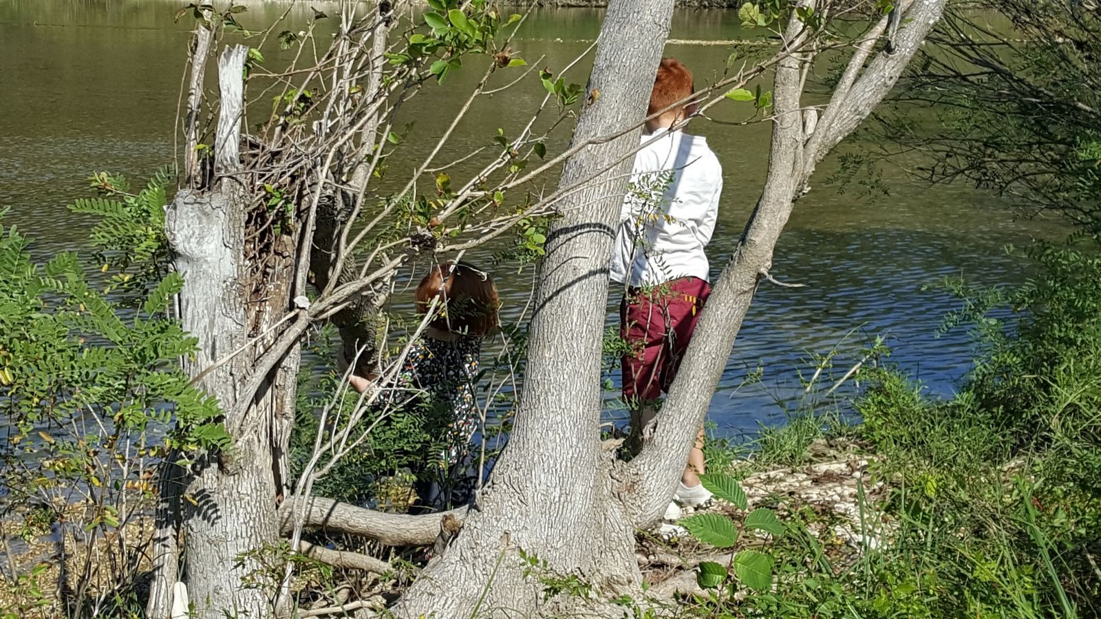 Austin, Texas — family travel photo 8