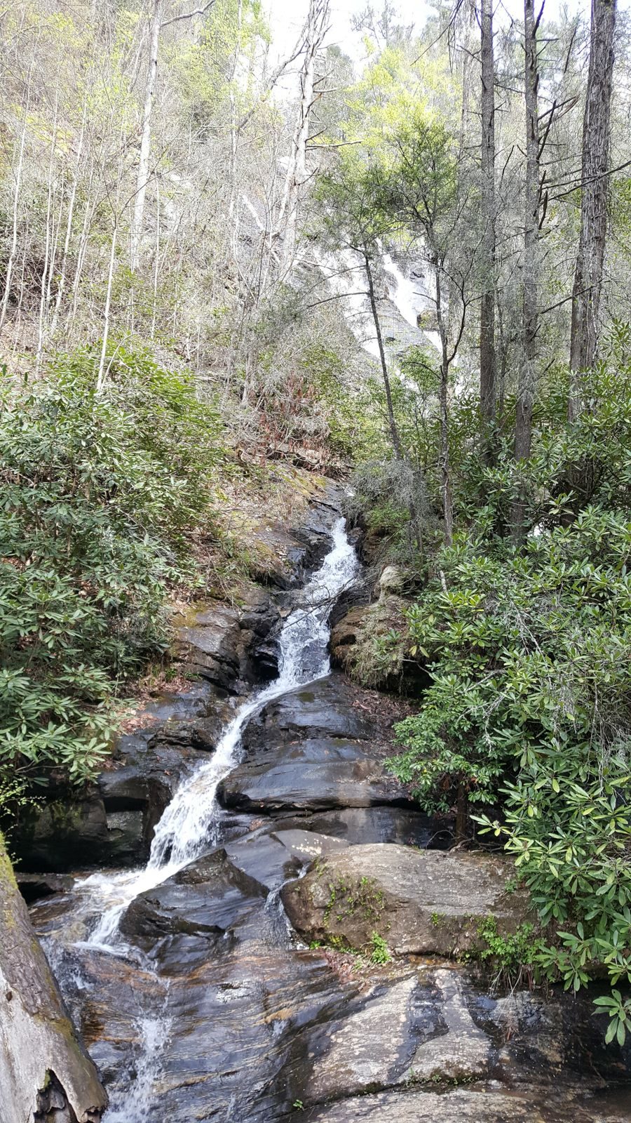 North Georgia — Spring 2017 — family travel photo 5