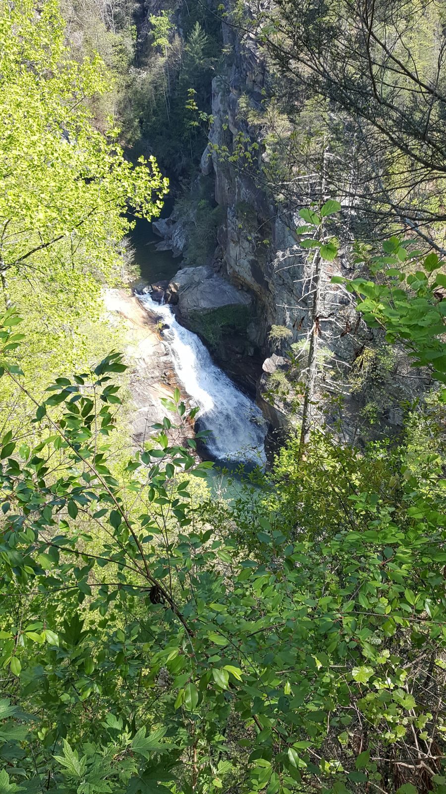 North Georgia — Spring 2017 — family travel photo 11