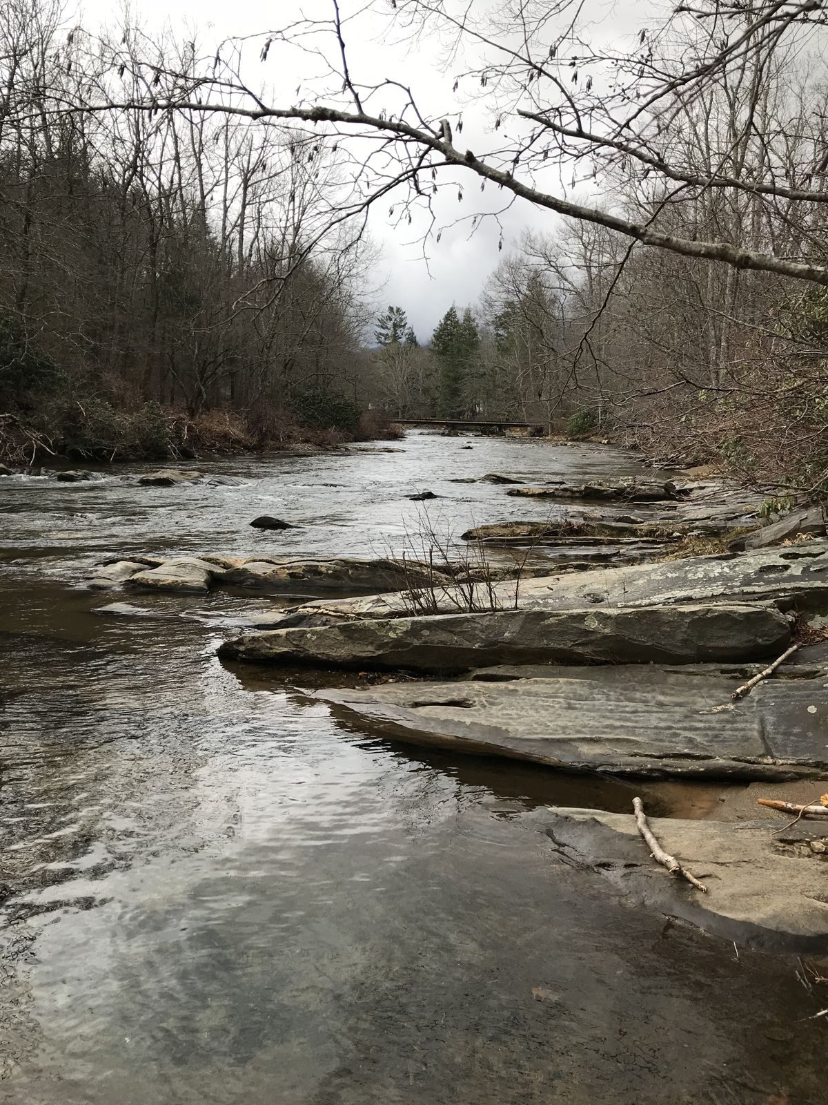 North Carolina “High Country” – Week 1 — family travel photo 14