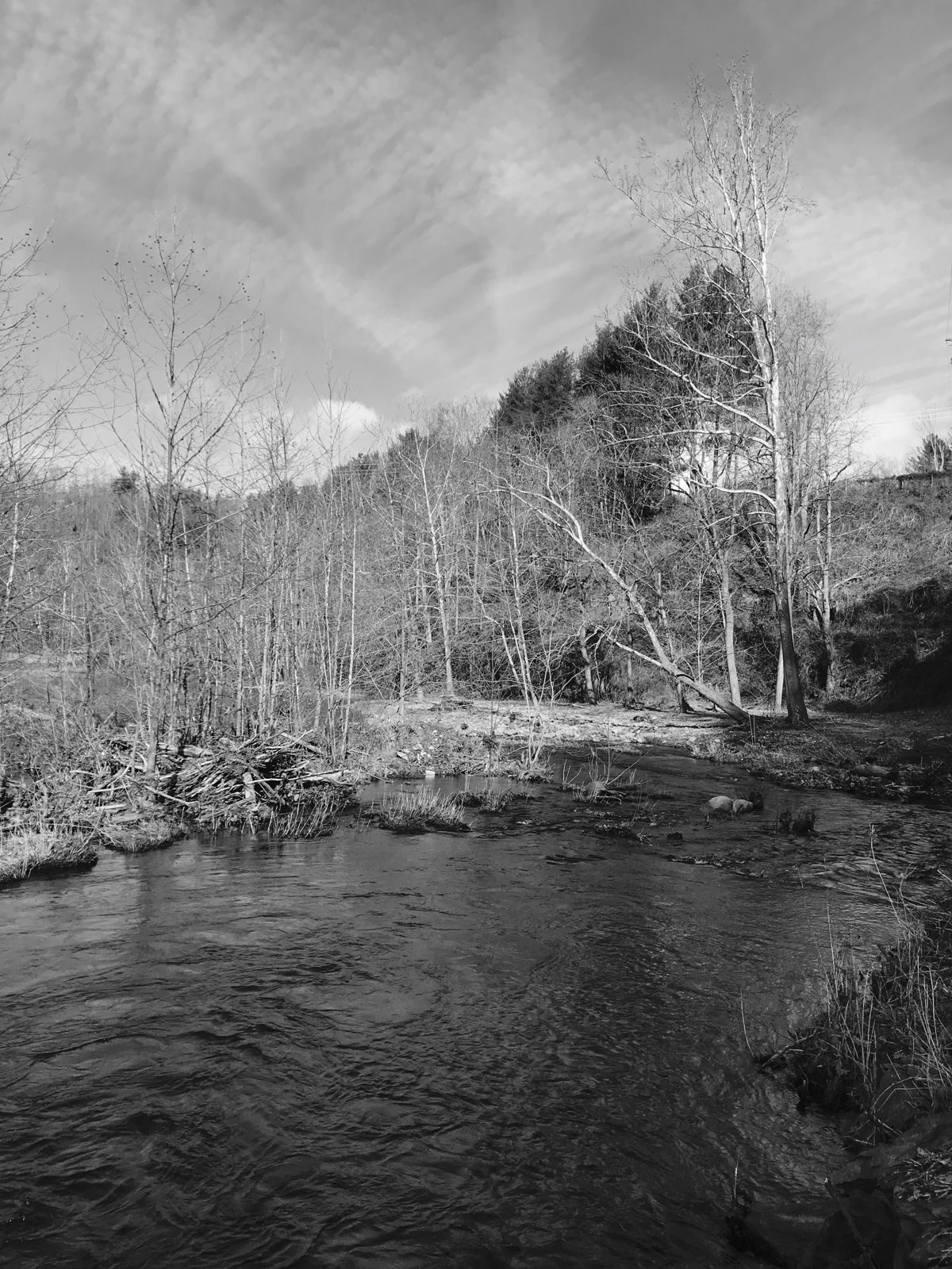 North Carolina “High Country” – Week 1 — family travel photo 17