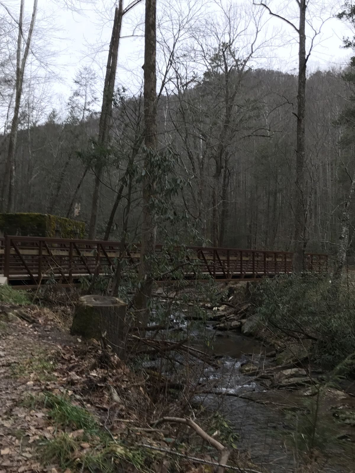 North Carolina “High Country” – Week 1 — family travel photo 18