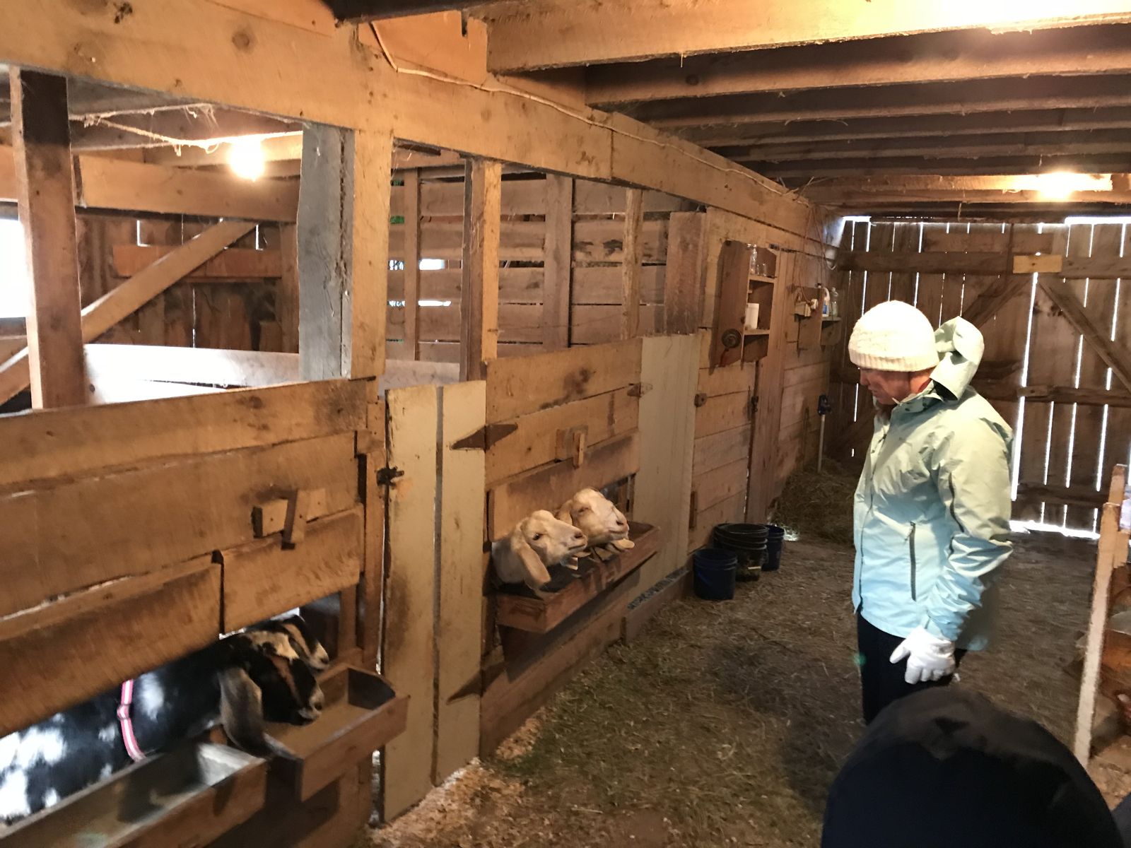 North Carolina “High Country” – Week 2 — family travel photo 35