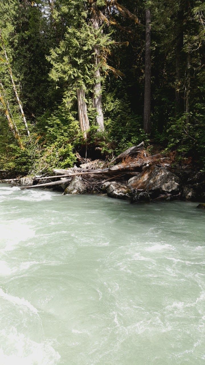 Pacific Northwest 2017: The Adventure Begins — family travel photo 17