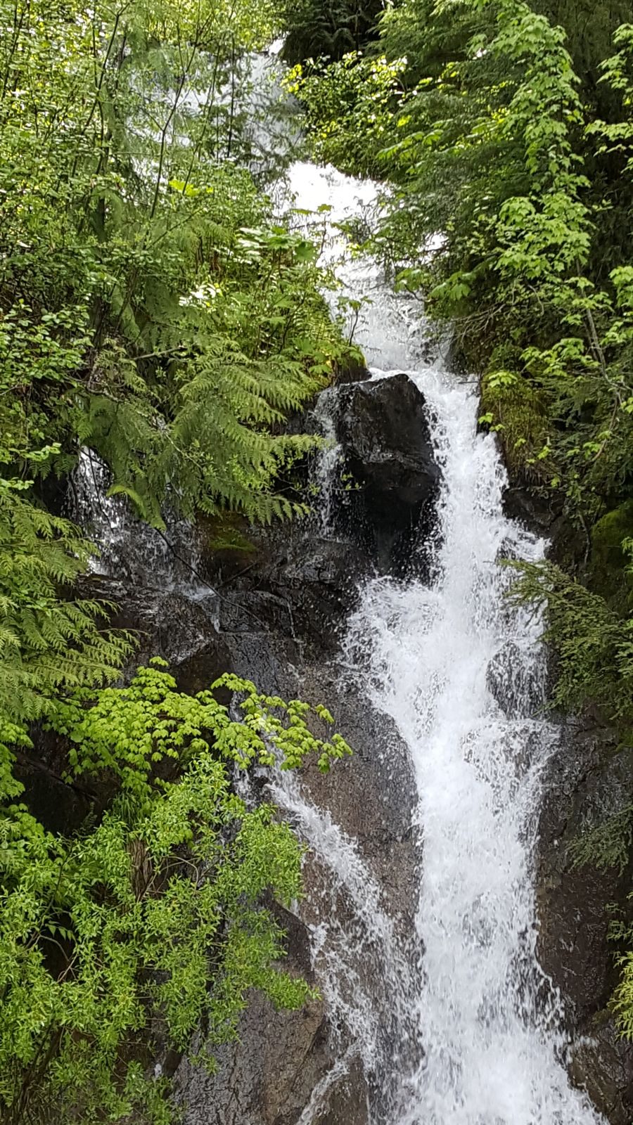 Pacific Northwest 2017: The Adventure Begins — family travel photo 23