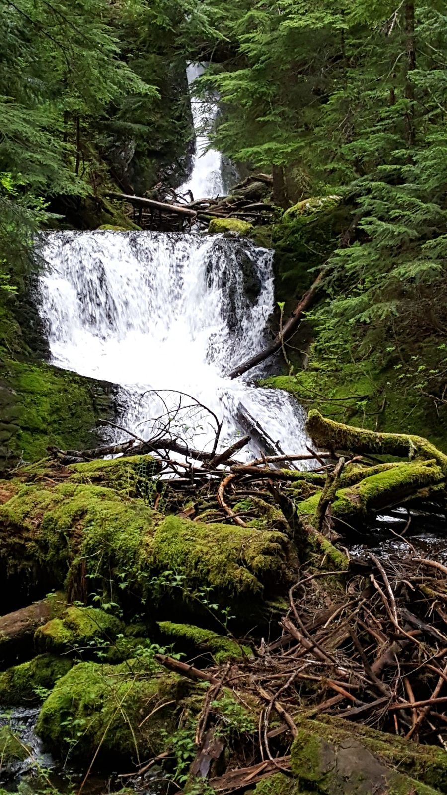 Olympic National Park — the Baughn family visit