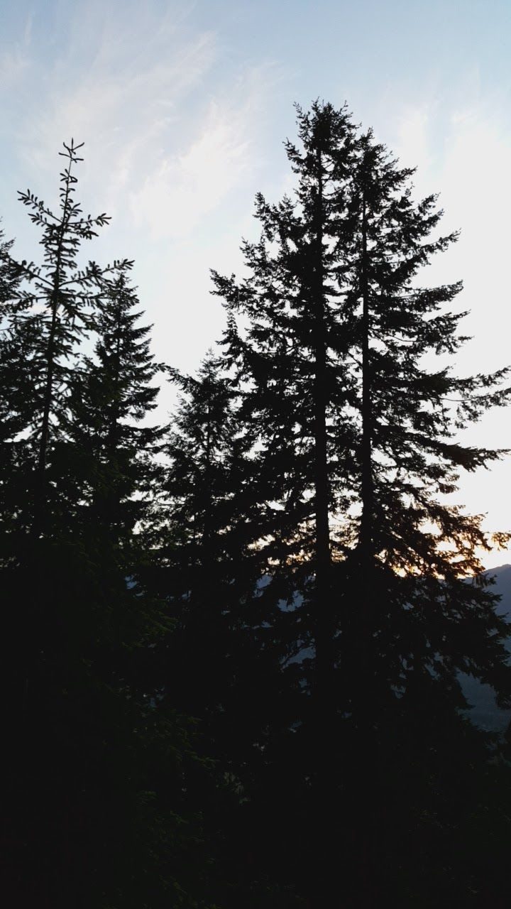 Pacific Northwest 2017: The Adventure Begins — family travel photo 29